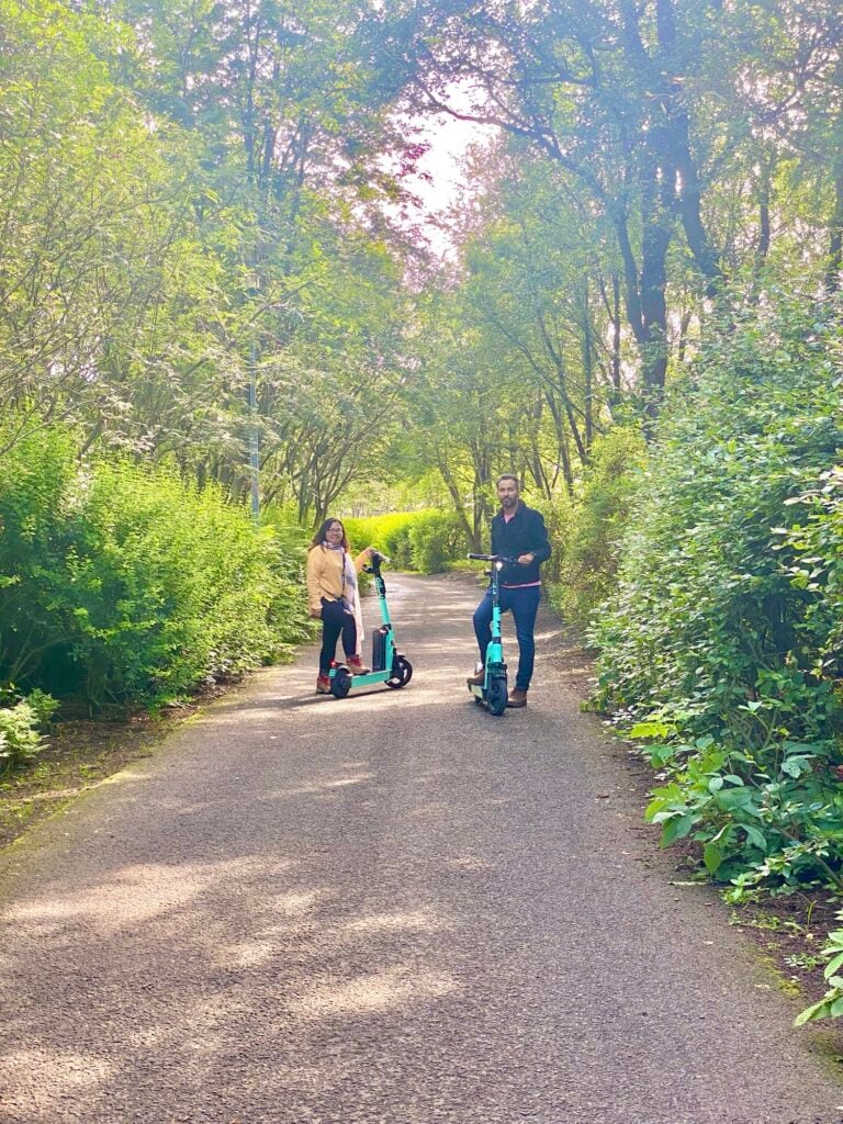 Tree-lined walking path in Laugardalur Park, Reykjavík