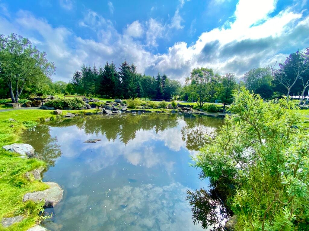 Pond reflecting trees and clouds in Laugardalur, Reykjavík