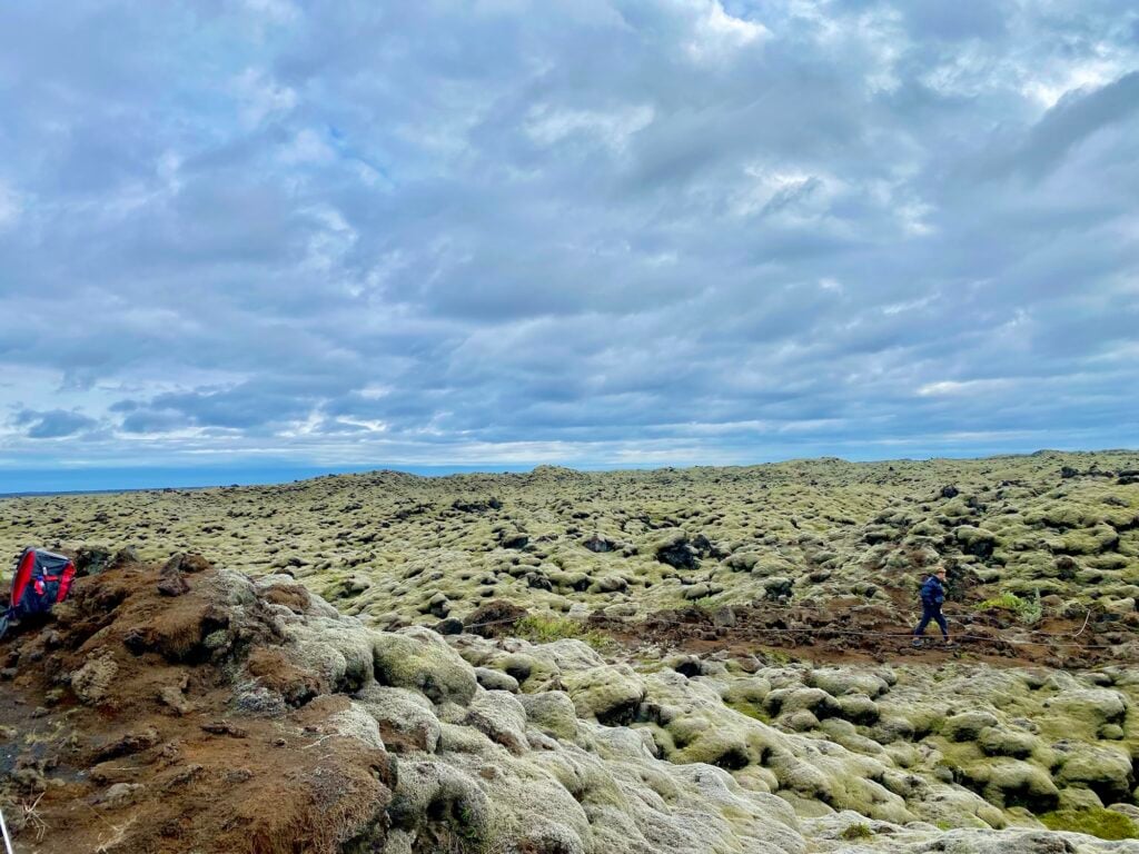 Moss-covered lava field seen from the bus to Reykjavík