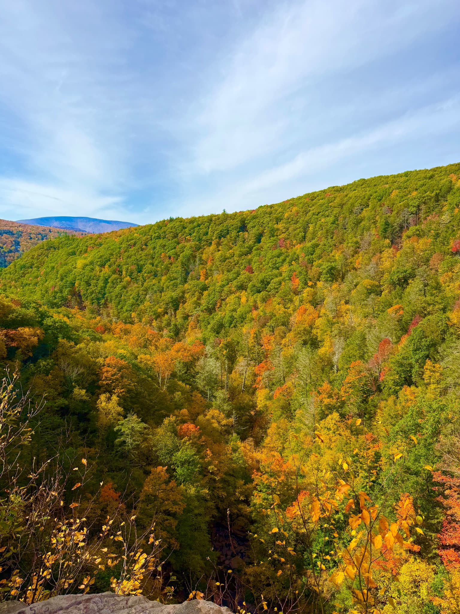 Fall foliage covering the mountains of Kaaterskill Clove in the Catskills
