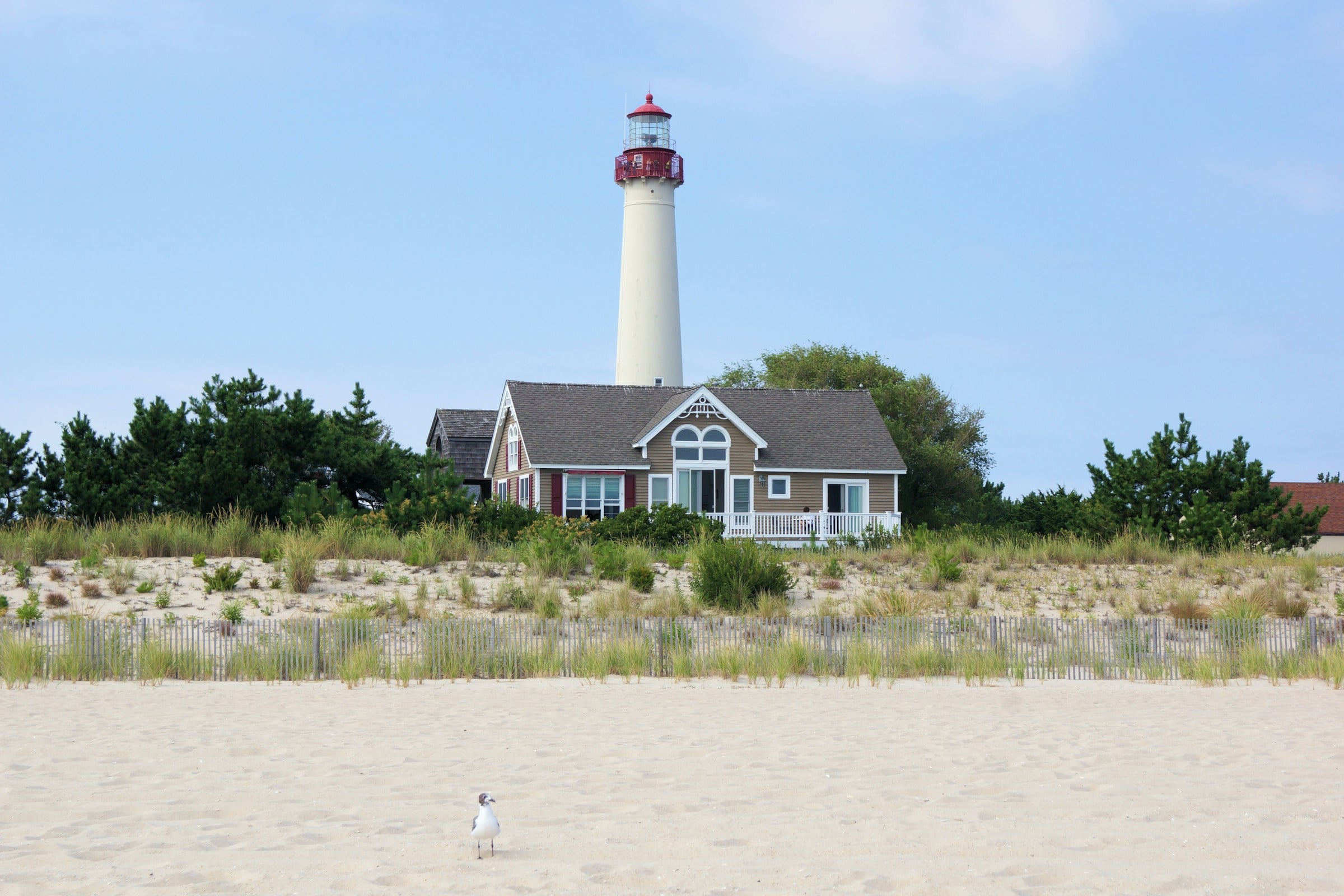 Cape May Lighthouse behind the dunes and beach in Cape May, New Jersey